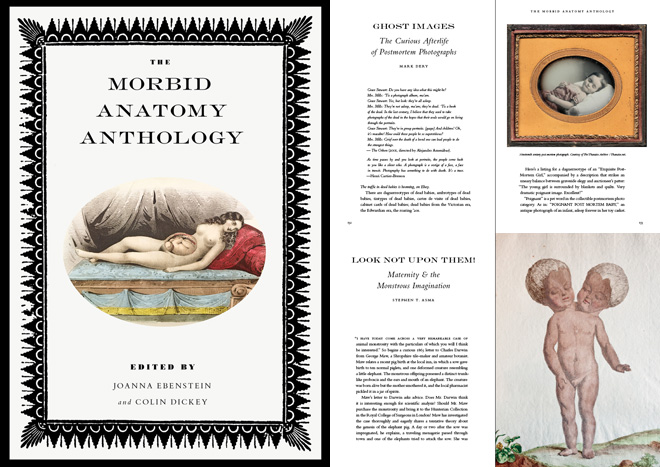 may-2014-morbid-anatomy-book